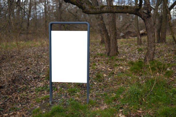 istock Empty Billboard in a Forest with Blank Space for Advertisement. Park indications and regulations. 2206248228