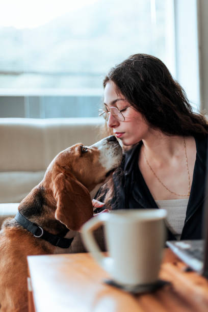 istock Young woman working at home with her dog by her side 2206248316