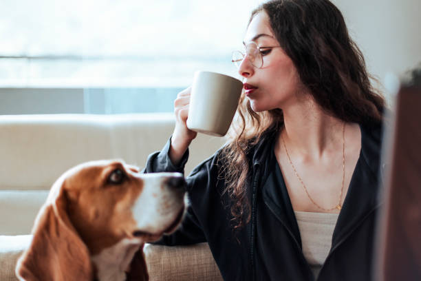 istock Young woman working at home with her dog by her side 2206248344