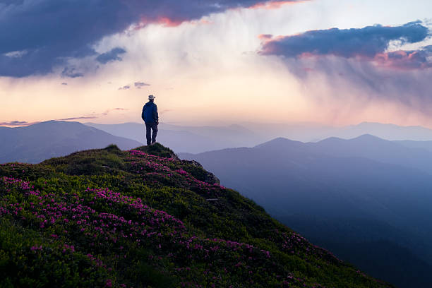istock Adventurer enjoying a panoramic view from a rhododendron-filled peak 2206249913