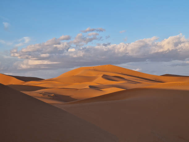 istock Sand dunes in desert at sunset 2206250912
