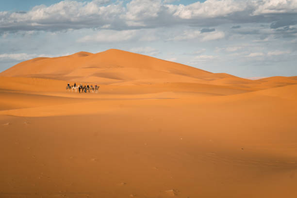 istock Distant camel safari on dunes in desert at sunset, Morocco 2206250996