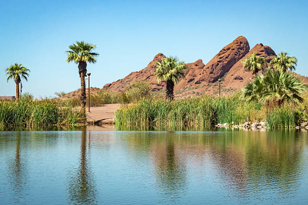 istock Palm trees water reflection oasis and mountains in the desert at Papago Park in Phoenix Arizona. 2206258549