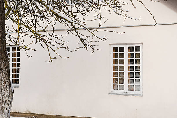 A building photographed from the garden in winter with a differentiated focus, cloudy day, snowy weather conditions, the garden is covered in a thick layer of snow, snow-covered trees in the foreground