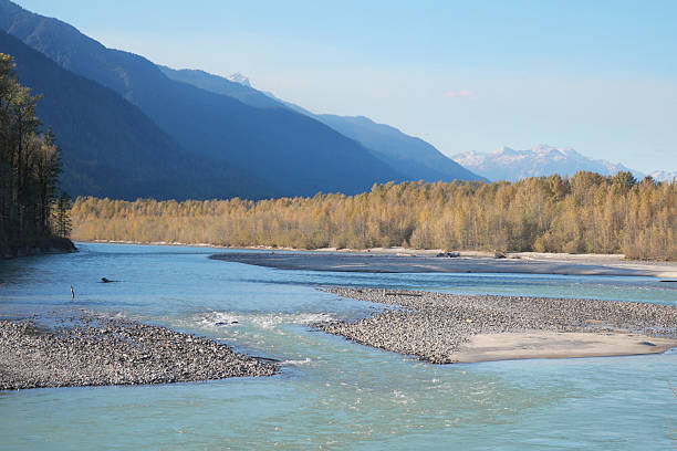 Squamish River during a fall season at the Eagle Run vista point in Brackendale, Squamish, British Columbia, Canada.
