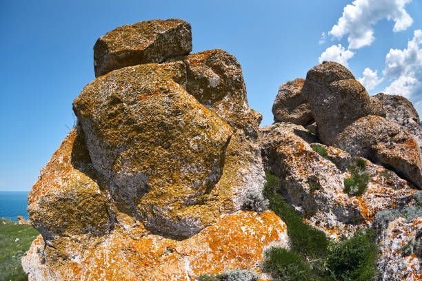 Rocks with yellow lichen close, green grass. Blue sky