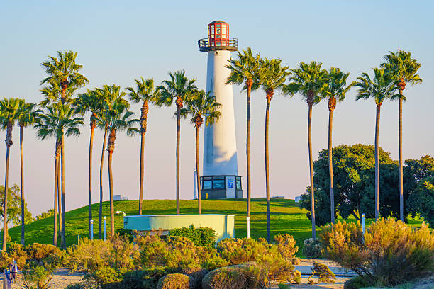 Long Beach, California - January 11, 2025: Decorative Lions Lighthouse for Sight stands tall amid palm trees at Shoreline Marina in Long Beach, California, captured in a bright, sunlit atmosphere during sunset.
