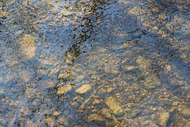 Sunlight shining through clear water onto a bed of stones