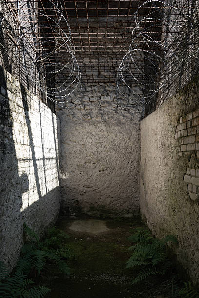 An abandoned prison courtyard with barbed wire and growing ferns, symbolizing isolation and hope in a confined space.High quality photo.
