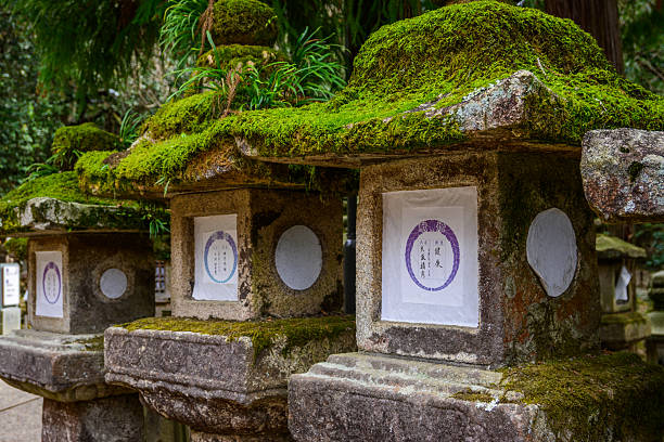 Nara, Japan - April 5, 2024: Ancient stone lanterns, heavily covered in moss, stand in a serene Japanese shrine. The paper inserts denote donors. These structures represent centuries of spiritual devotion.