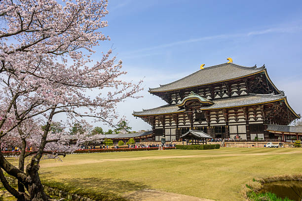 Nara, Japan - April 5, 2024: The Daibutsuden (Great Buddha Hall) of Todaiji, the world's largest wooden building, stands majestic amid cherry blossoms. Tourists gather at its entrance during hanami season in Nara, Japan