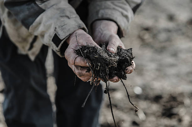 istock The old hands hold the soil, knowing its worth 2206276754