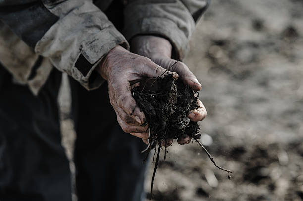 istock These hands have built and nurtured the land through generations 2206276759