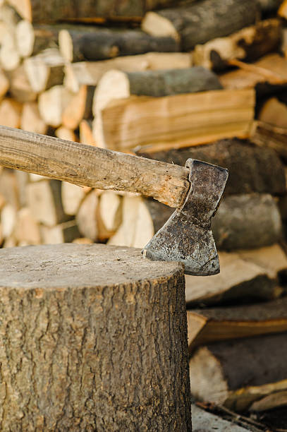 istock An axe is stuck in a sturdy stump 2206278383