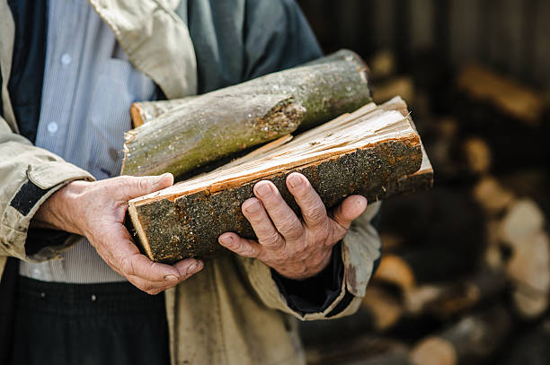 istock An old man's strong hands hold chopped firewood 2206278444
