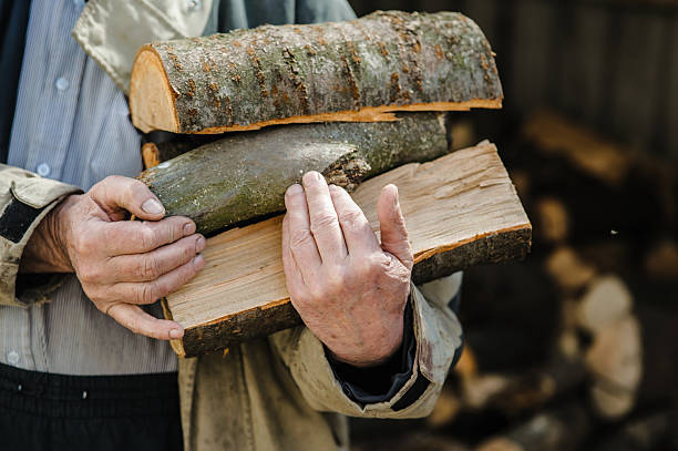 Rough, veined hands carry freshly chopped logs