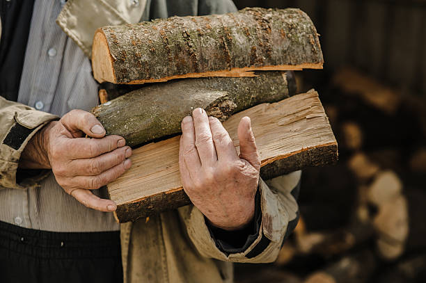 istock Rough, veined hands carry freshly chopped logs 2206278457