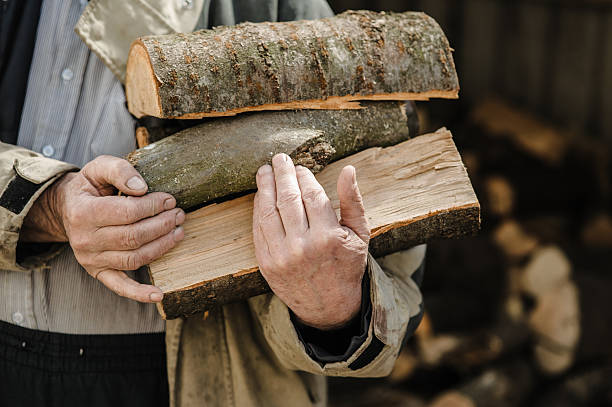 istock Rough, veined hands carry freshly chopped logs 2206278462