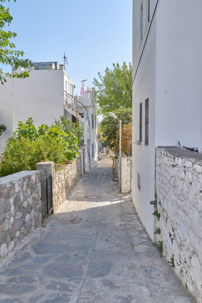 A charming Turkish street showcasing authentic whitewashed stone buildings flanked by greenery. The pathway provides a serene, sunlit environment, inviting exploration of this picturesque village.