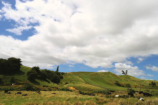 istock Matamata, New Zealand 2206281003