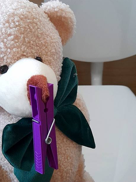 One purple plastic clothespin on soft toy bear's nose.