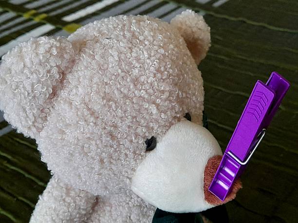 One purple plastic clothespin on soft toy bear's nose.