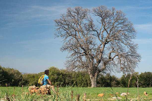 Photo of adult man sitting on a rock by large oak tree in wheat field while hiking in nature. Shot with a full frame mirrorless camera.