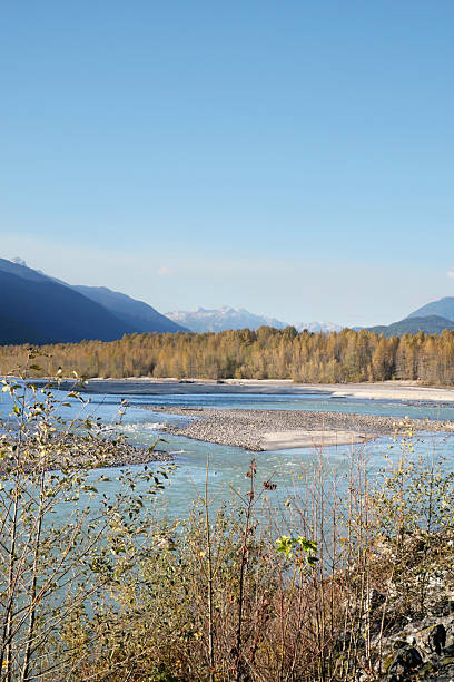 istock Brackendale Eagle Run in Squamish, British Columbia 2206287186