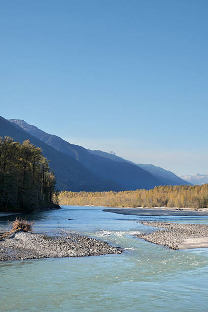 istock Brackendale Eagle Run in Squamish, British Columbia 2206287193