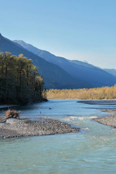 istock Brackendale Eagle Run in Squamish, British Columbia 2206287203