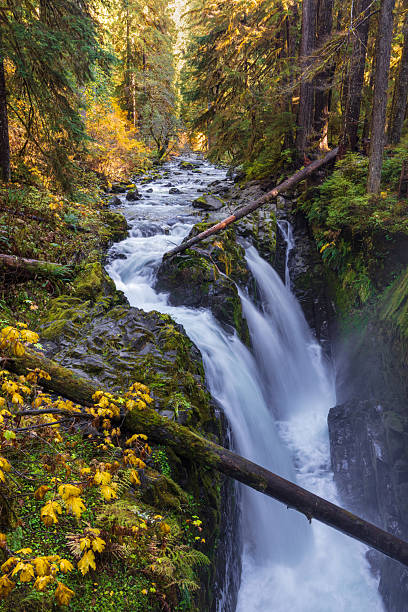 istock Sol Duc Falls Olympic National Park Washington State - Long Exposure Waterfall Photo 2206288429