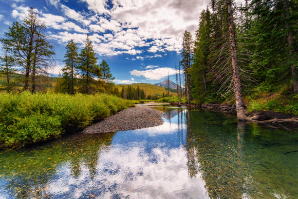 Slate River Crested Butte Colorado