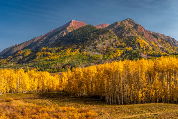 istock Mountain Peaks Surrounded by Autumn Aspen Forest in Gothic Colorado 2206290121
