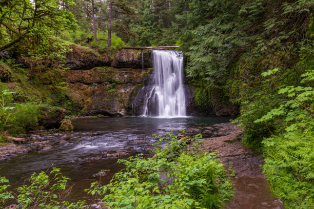 istock Upper North Falls - Silver Falls State Park in Oregon - Springtime Greenery 2206290230
