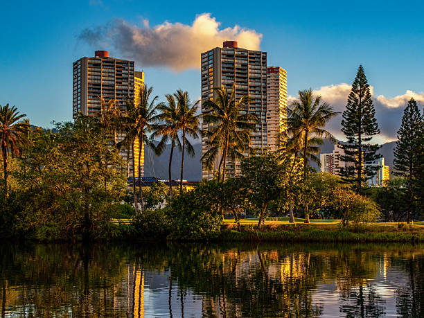 Idyllic tropical landscape in a coastal pacific rainforest, tall palm trees and bushes around the lake with black volcanic rocks. Puuhonua o Hnaunau national historical park, Hawaii, the USA.