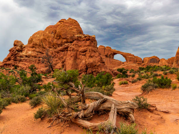 istock Skyline Arch - Arches National Park - Moab Utah 2206290770