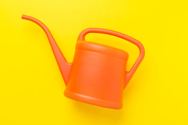 istock Watering can on color background, top, view 2206290886
