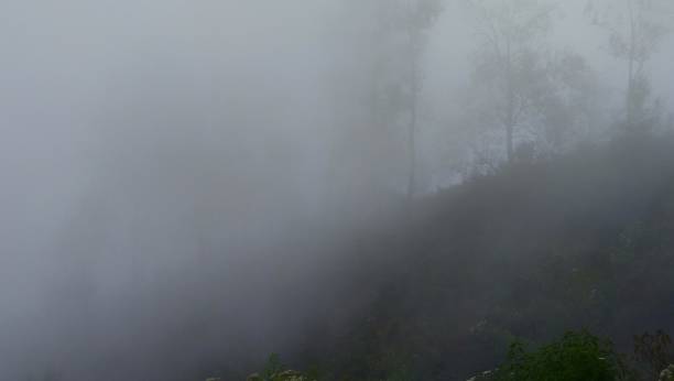 istock Foggy in mountain 2206302624