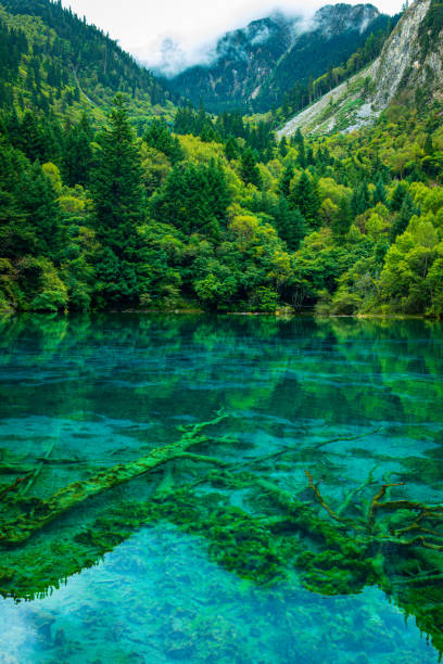 istock Clear Lake and Forest Reflections in Jiuzhaigou 2206311690