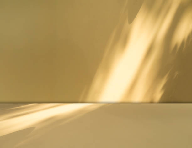 istock Begie background yellow wall floor with shadow flower gradient old rose color backdrop, minimal podium stage loft for presentation product, empty mockup stand interior 2206313087
