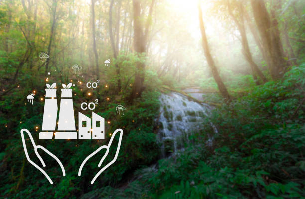istock Green forests and the world's environment 2206315105
