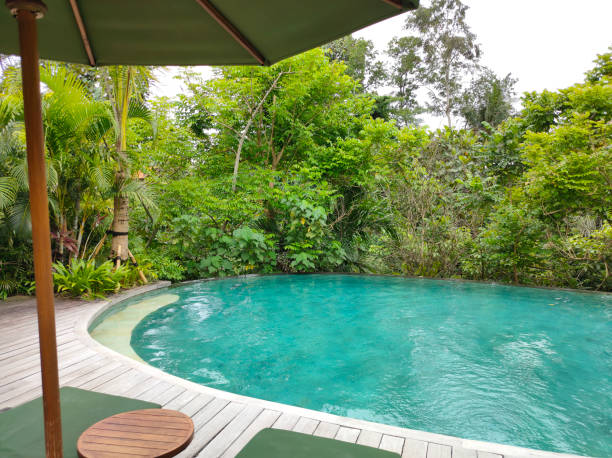istock Luxuy Hotel Pool in Bali 2206324615