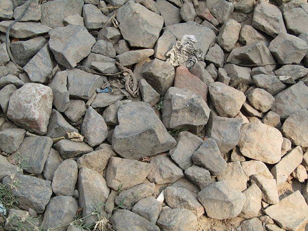 stone texture and background. close up of stones on the ground