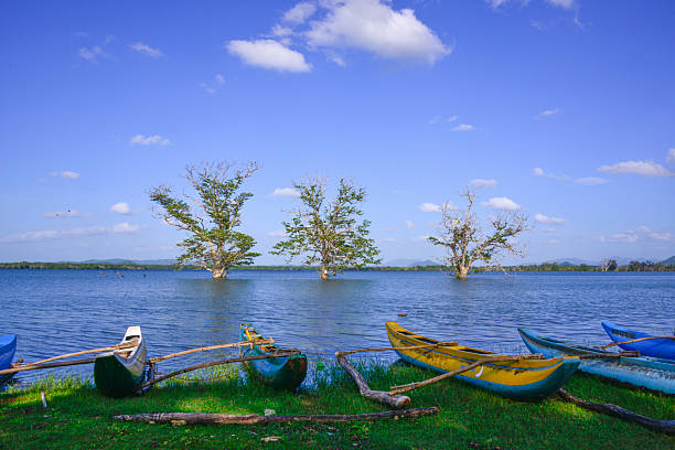istock Balalu Wewa, Anuradhapura 2206327868
