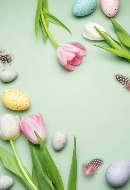 istock Easter eggs and tulips creating a frame on pastel green background 2206331144