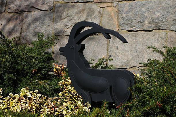 A dark metallic he-goat in the bushes