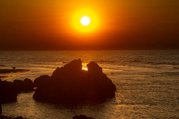 The nature of Amami Oshima is creative