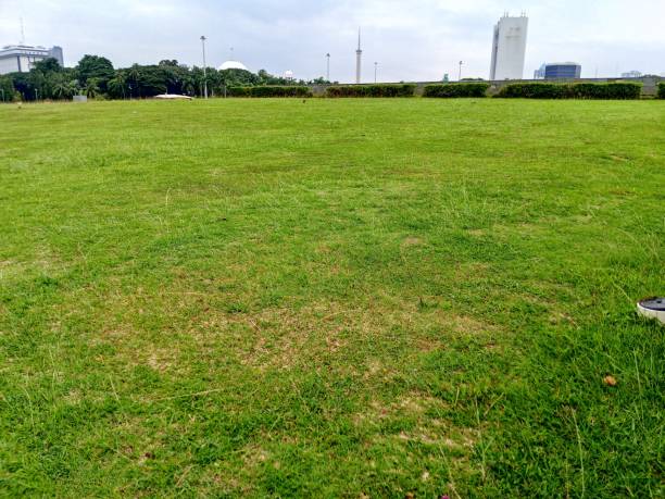 istock Grassy area in the Monas park area 2206334155