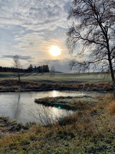 istock Fall and early frost 2206335602