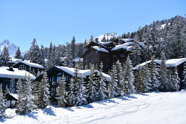 istock Ski resort view with chalets between snowy trees 2206337426